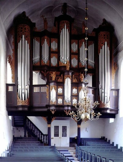 organ
